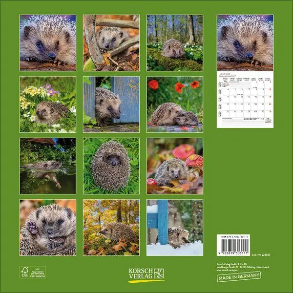 Bild: 9783819303111 | Igel 2027 | Verlag Korsch | Kalender | 13 S. | Deutsch | 2027