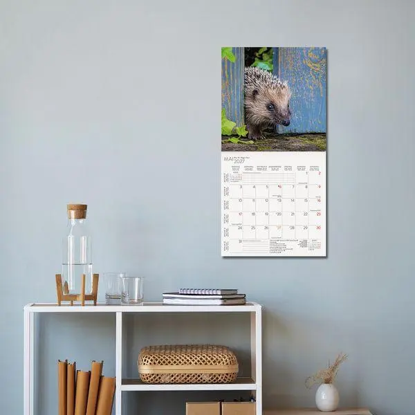 Bild: 9783819303111 | Igel 2027 | Verlag Korsch | Kalender | 13 S. | Deutsch | 2027