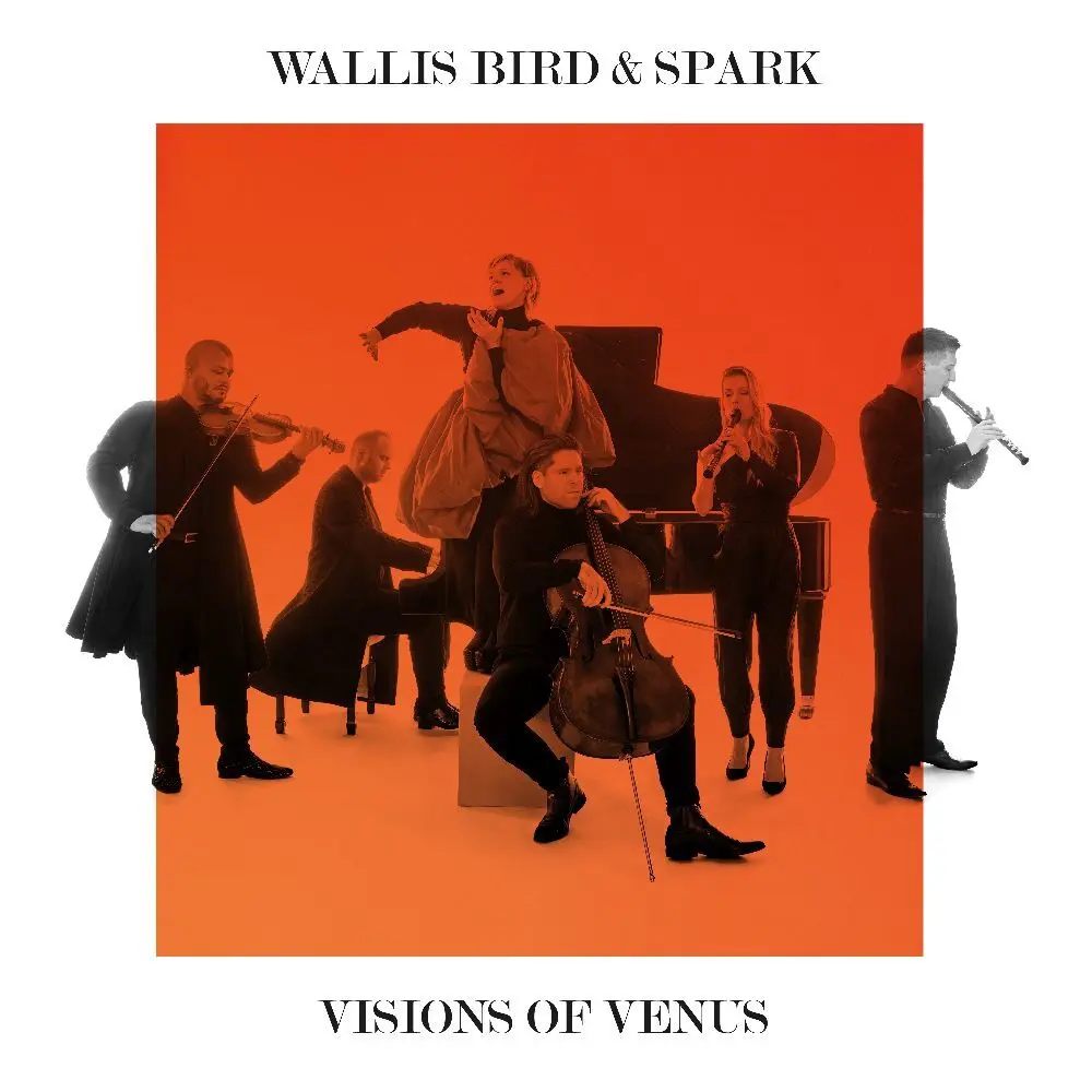 Visions of Venus,1 Schallplatte