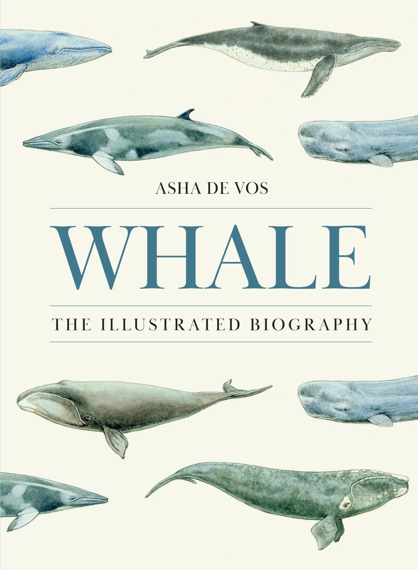 Cover: 9780691273211 | Whale | The Illustrated Biography | Asha de Vos | Buch | Englisch
