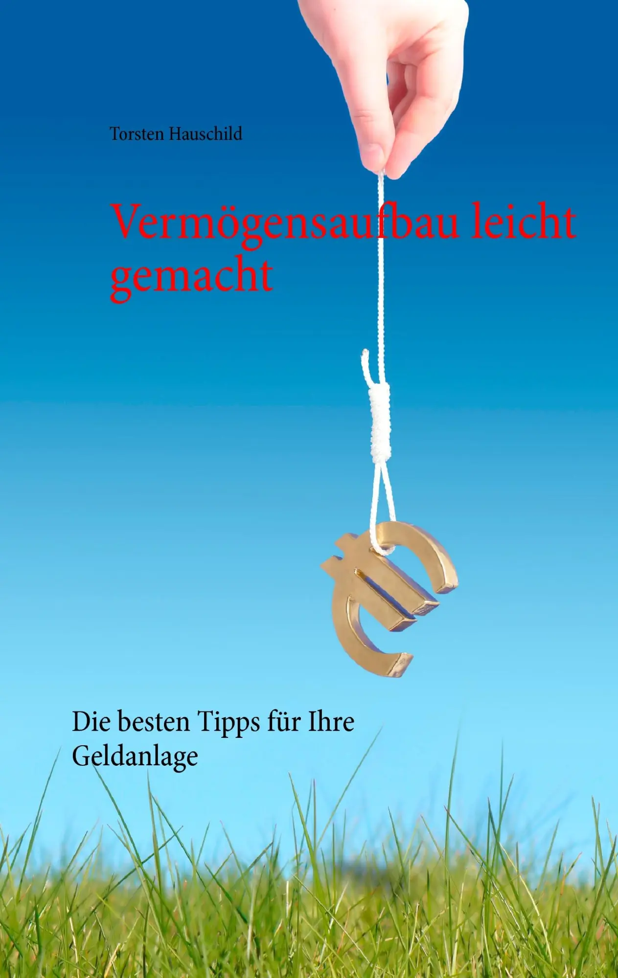 Cover: 9783842363311 | Vermögensaufbau leicht gemacht | Die besten Tipps für Ihre Geldanlage