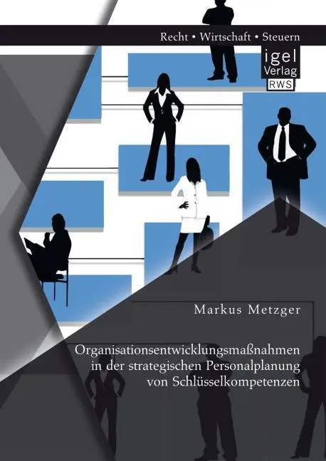 Cover: 9783954853311 | Organisationsentwicklungsmaßnahmen in der strategischen...