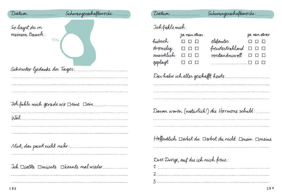 Bild: 9783442393411 | Tagebuch - Meine Schwangerschaft | Doro Ottermann | Taschenbuch | 2019