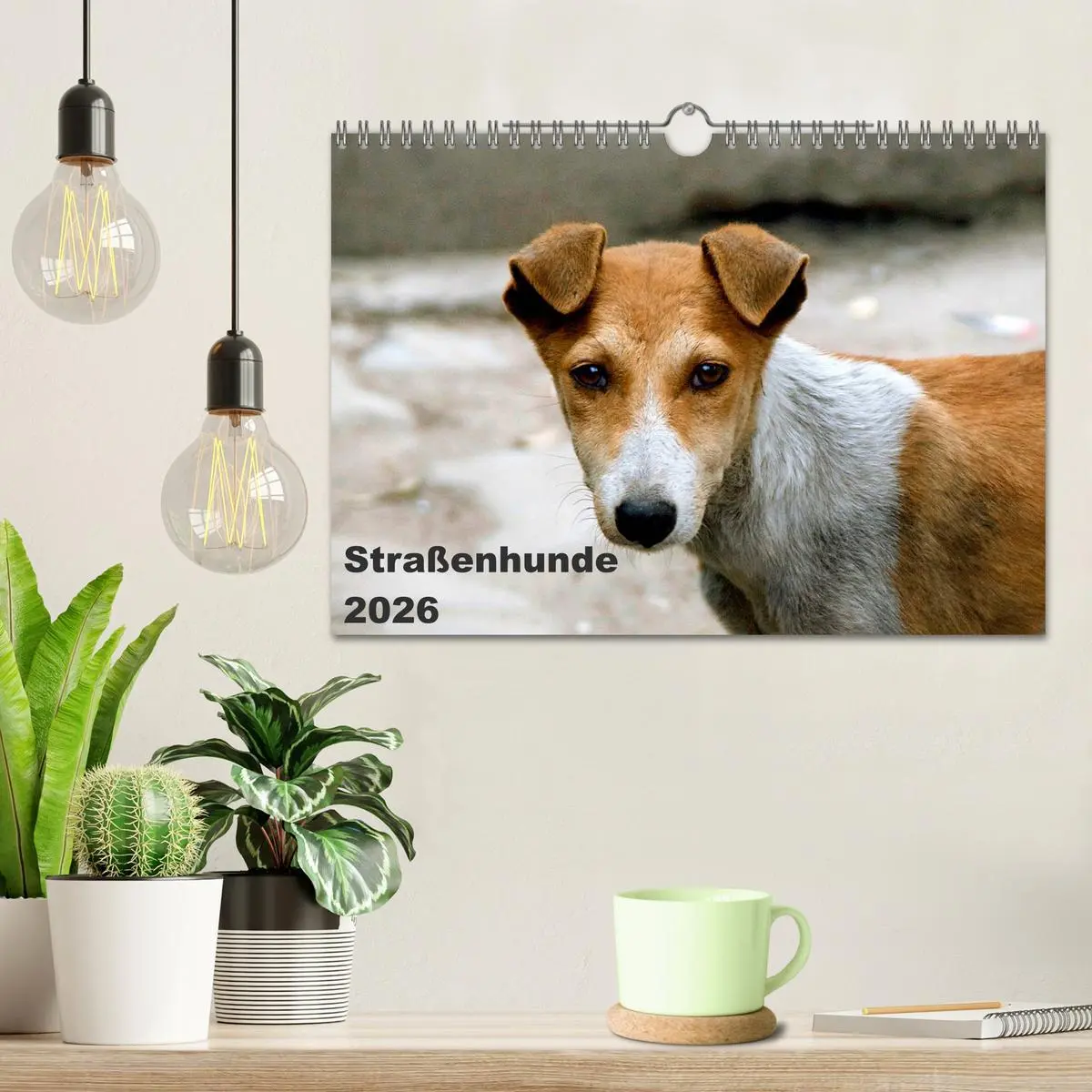 Bild: 9783516193411 | Straßenhunde (Wandkalender 2026 DIN A4 quer), CALVENDO Monatskalender