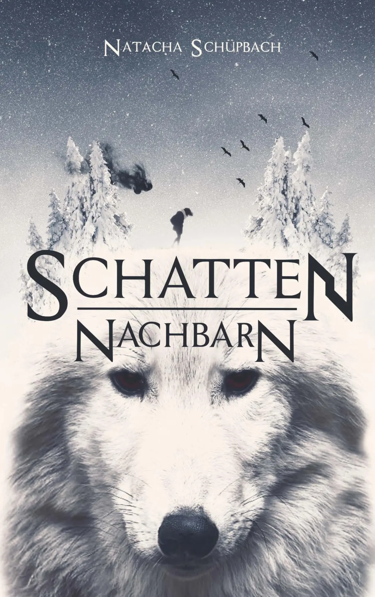 Cover: 9783744893411 | Schattennachbarn | Das Reich der Finsternis | Natacha Schüpbach | Buch