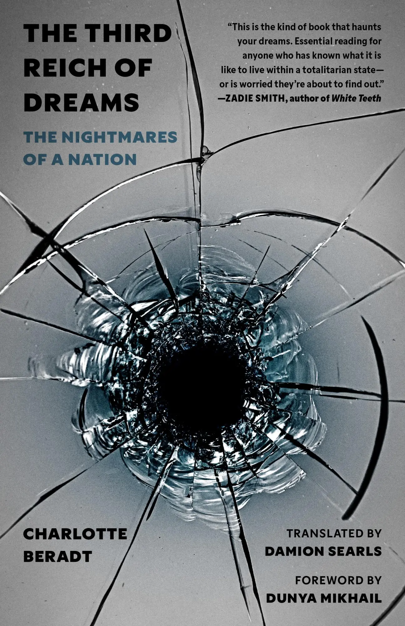 Cover: 9780691243511 | The Third Reich of Dreams | The Nightmares of a Nation | Beradt | Buch