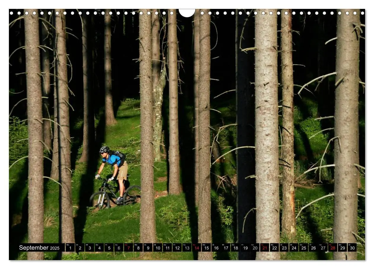 Bild: 9783435833511 | Mountainbike Spirit 2025 (Wandkalender 2025 DIN A3 quer), CALVENDO...