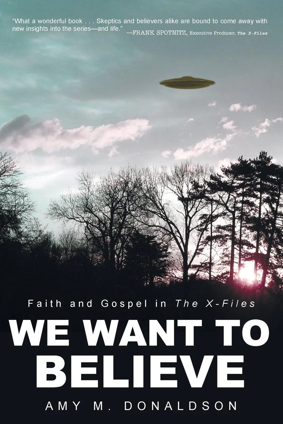 Cover: 9781606083611 | We Want to Believe | Amy M. Donaldson | Taschenbuch | Englisch | 2011