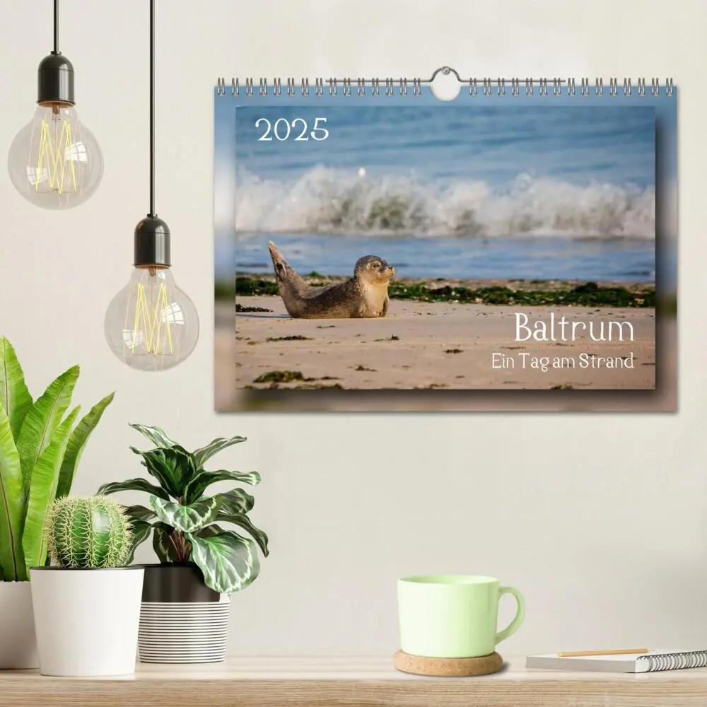 Bild: 9783435683611 | Baltrum - Ein Tag am Strand (Wandkalender 2025 DIN A4 quer),...