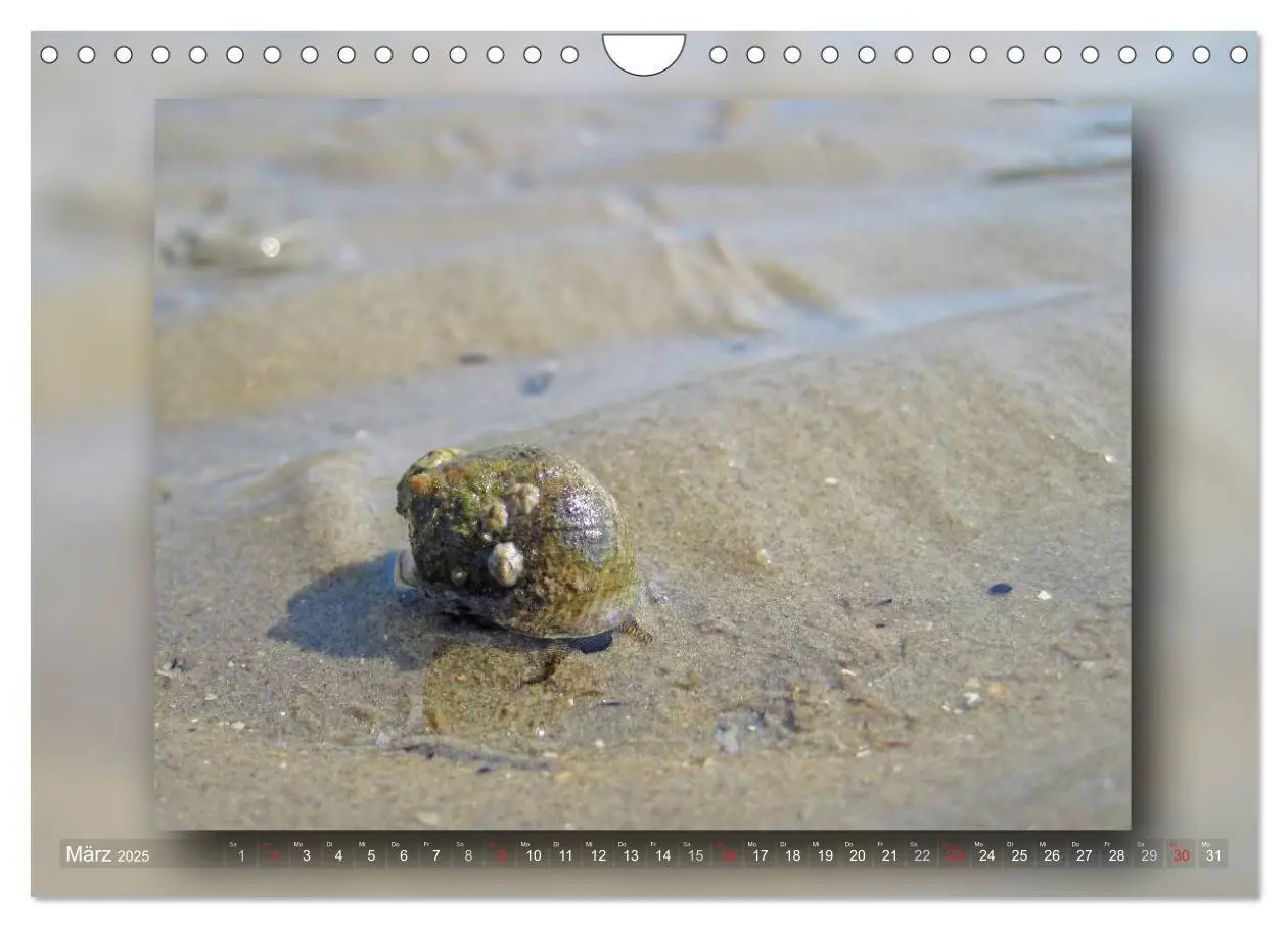 Bild: 9783435683611 | Baltrum - Ein Tag am Strand (Wandkalender 2025 DIN A4 quer),...