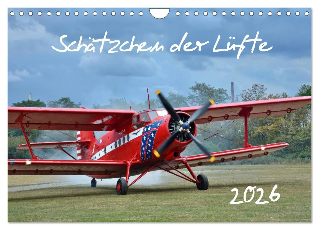 Cover: 9783457773611 | Schätzchen der Lüfte (Wandkalender 2026 DIN A4 quer), CALVENDO...
