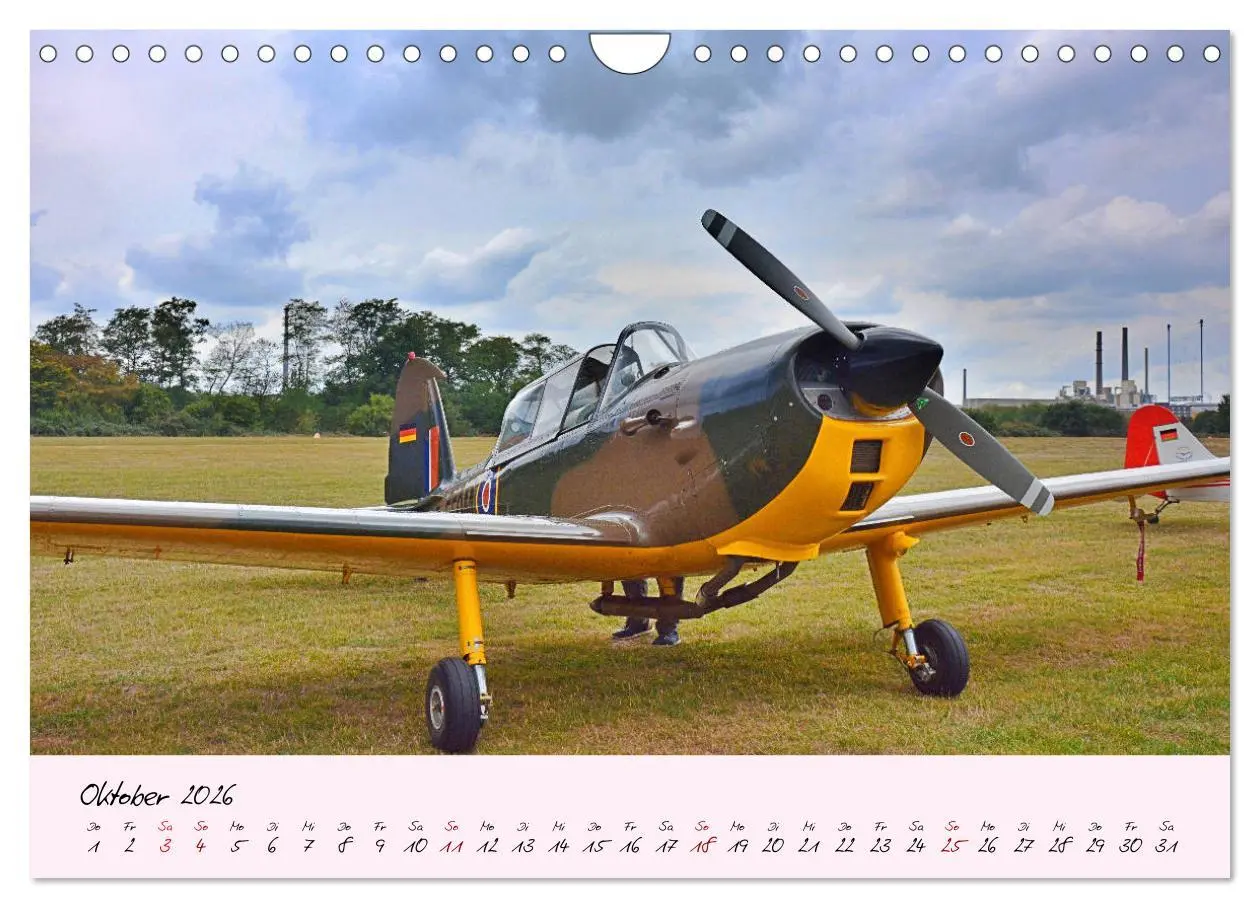 Bild: 9783457773611 | Schätzchen der Lüfte (Wandkalender 2026 DIN A4 quer), CALVENDO...