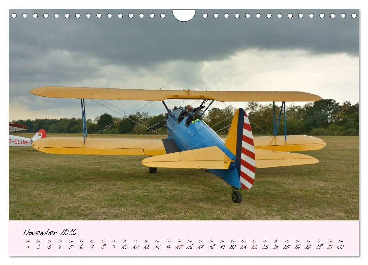 Bild: 9783457773611 | Schätzchen der Lüfte (Wandkalender 2026 DIN A4 quer), CALVENDO...