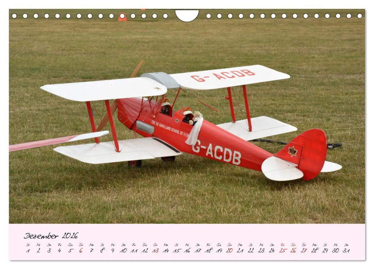 Bild: 9783457773611 | Schätzchen der Lüfte (Wandkalender 2026 DIN A4 quer), CALVENDO...