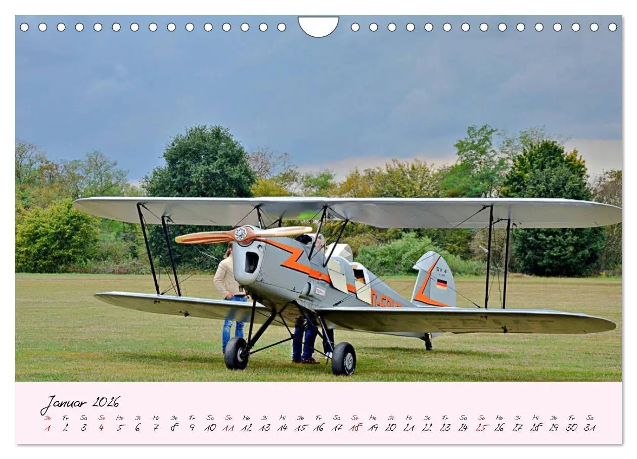 Bild: 9783457773611 | Schätzchen der Lüfte (Wandkalender 2026 DIN A4 quer), CALVENDO...