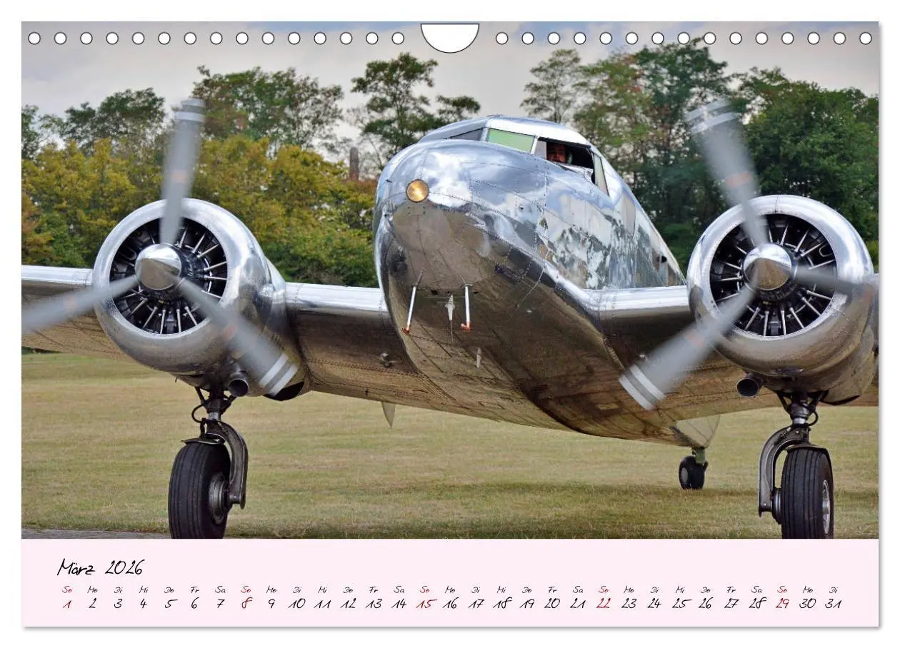 Bild: 9783457773611 | Schätzchen der Lüfte (Wandkalender 2026 DIN A4 quer), CALVENDO...