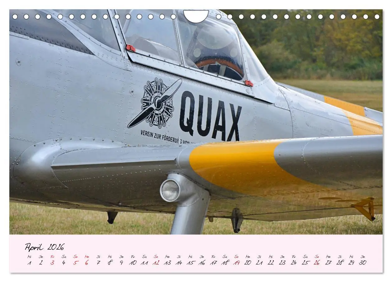 Bild: 9783457773611 | Schätzchen der Lüfte (Wandkalender 2026 DIN A4 quer), CALVENDO...
