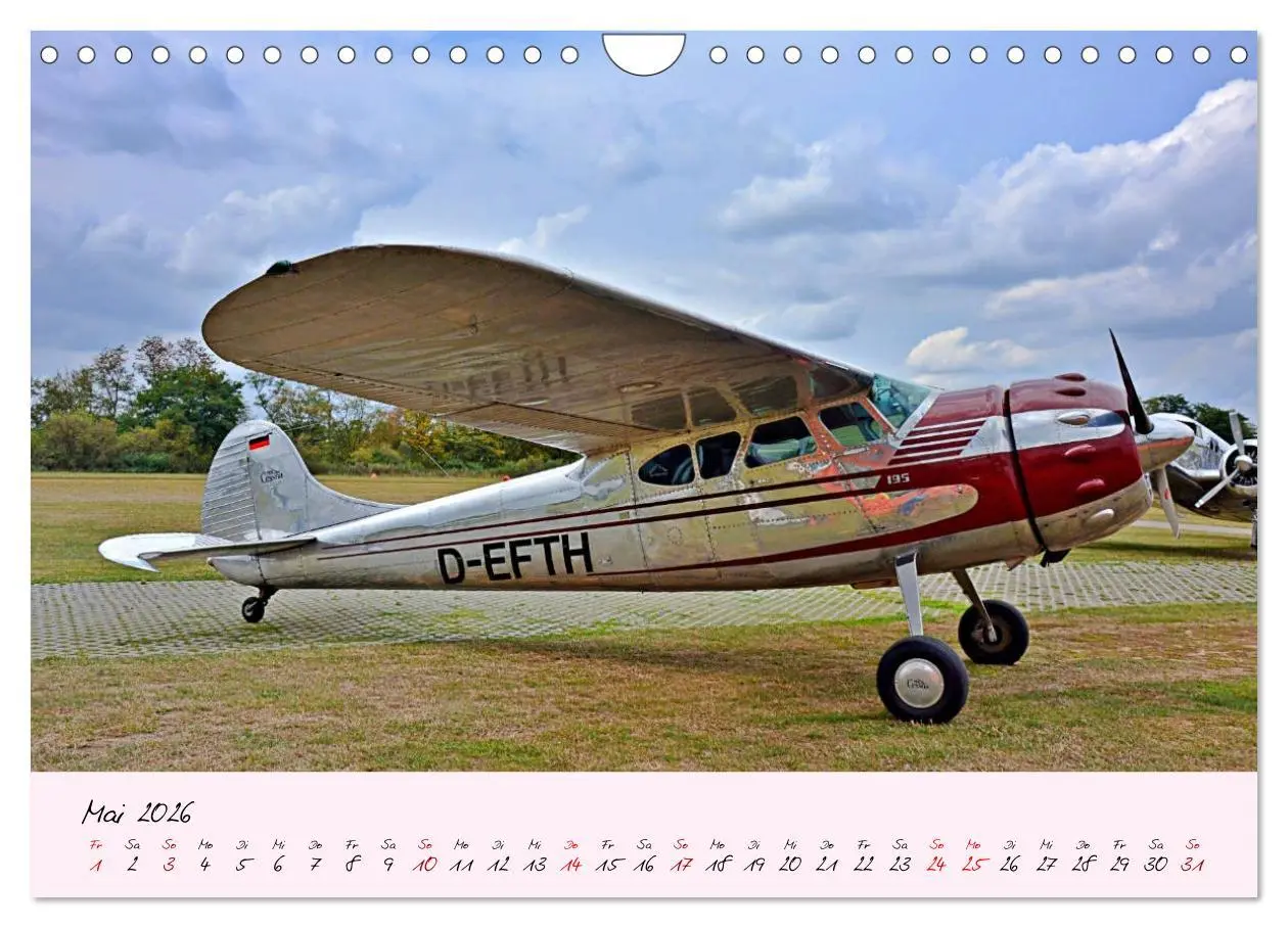 Bild: 9783457773611 | Schätzchen der Lüfte (Wandkalender 2026 DIN A4 quer), CALVENDO...