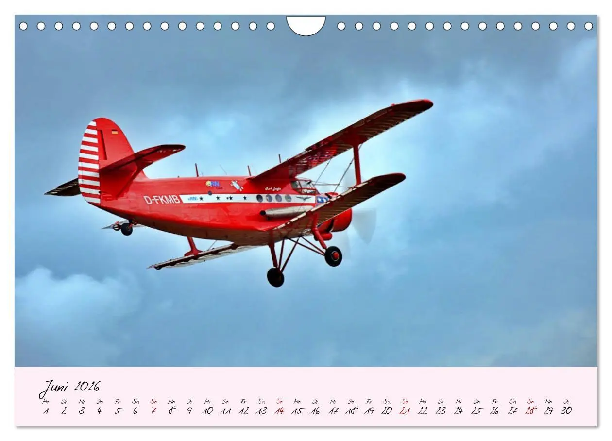 Bild: 9783457773611 | Schätzchen der Lüfte (Wandkalender 2026 DIN A4 quer), CALVENDO...