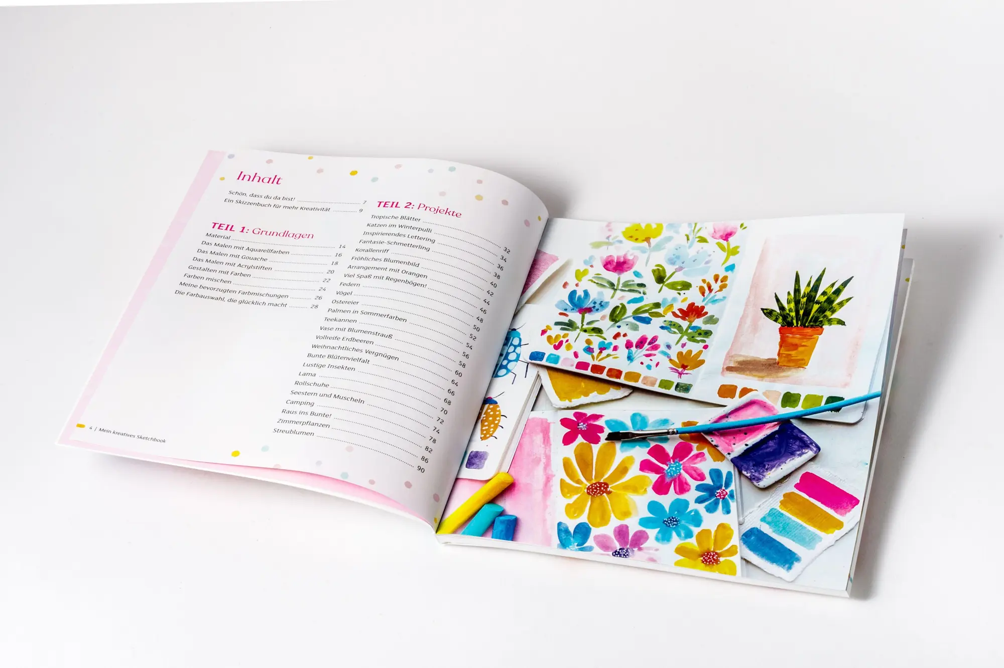 Bild: 9783809453611 | Mein kreatives Sketchbook - 25 einfache Malprojekte | Viddhi Saschit