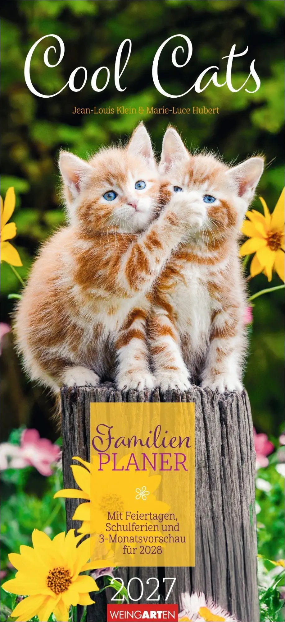 Cover: 9783839903711 | Cool Cats Familienplaner 2027 | Marie-Luce Hubert | Kalender | 15 S.