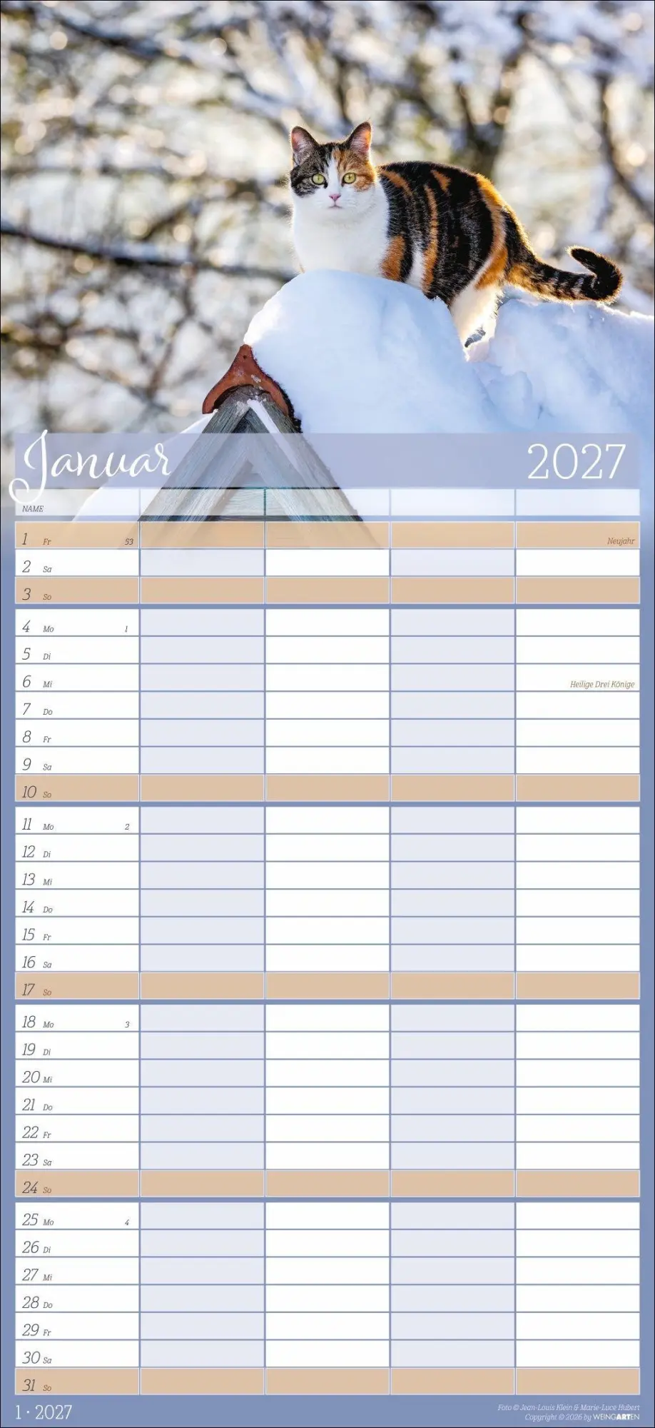 Bild: 9783839903711 | Cool Cats Familienplaner 2027 | Marie-Luce Hubert | Kalender | 15 S.