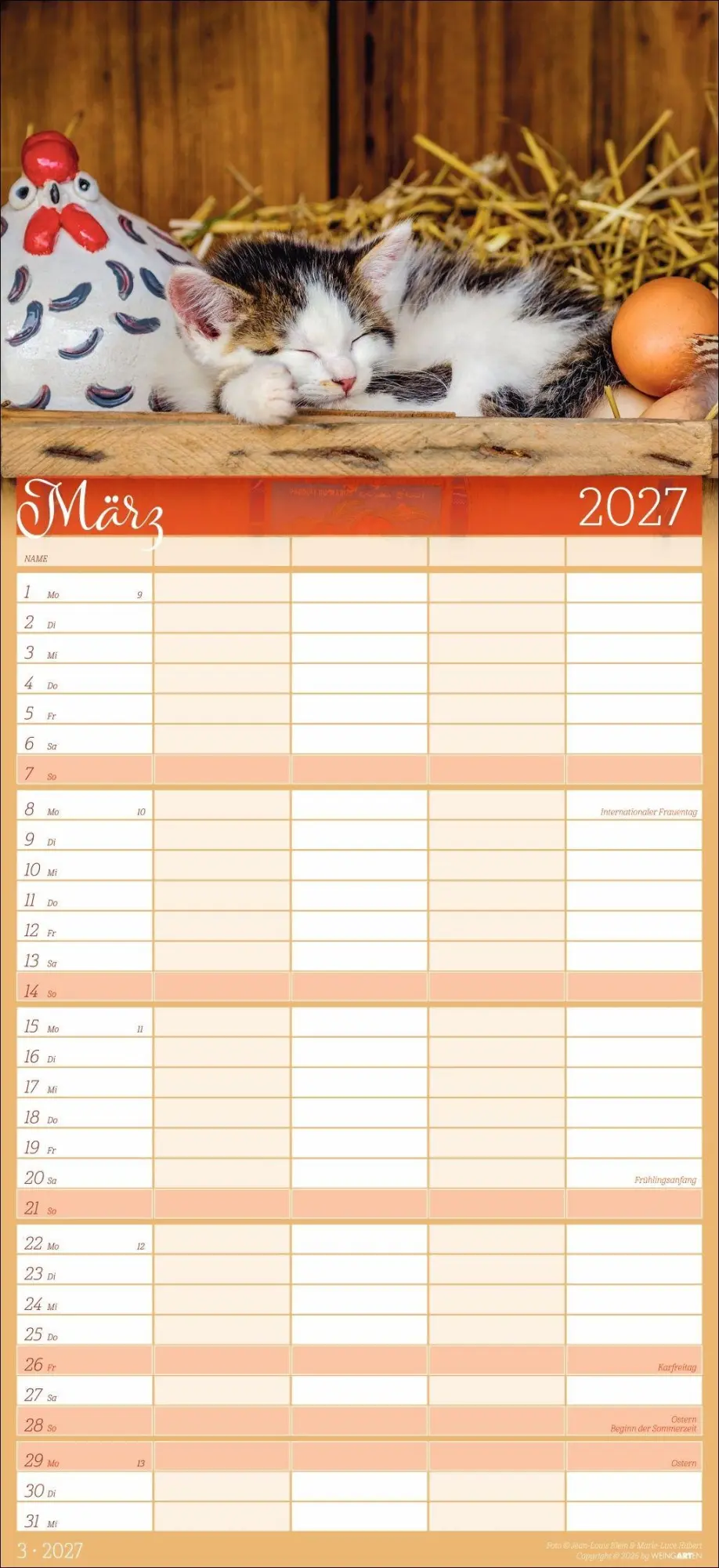 Bild: 9783839903711 | Cool Cats Familienplaner 2027 | Marie-Luce Hubert | Kalender | 15 S.