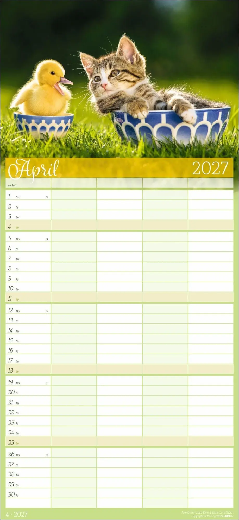 Bild: 9783839903711 | Cool Cats Familienplaner 2027 | Marie-Luce Hubert | Kalender | 15 S.