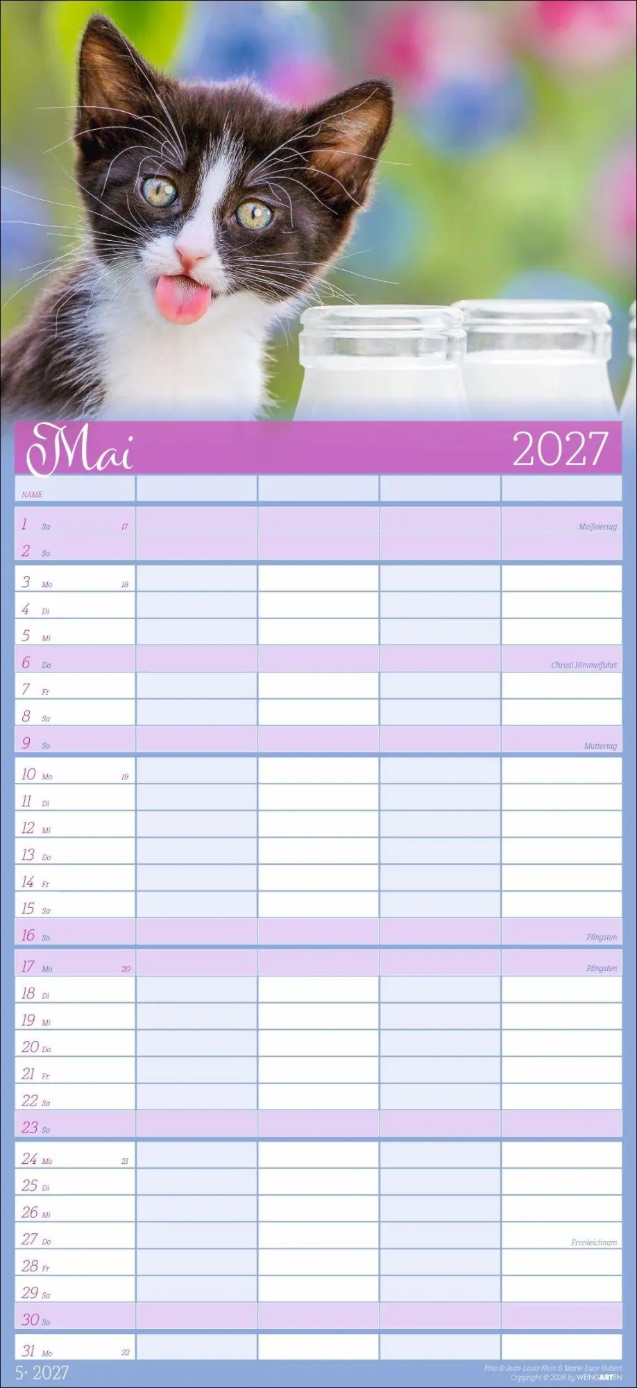 Bild: 9783839903711 | Cool Cats Familienplaner 2027 | Marie-Luce Hubert | Kalender | 15 S.