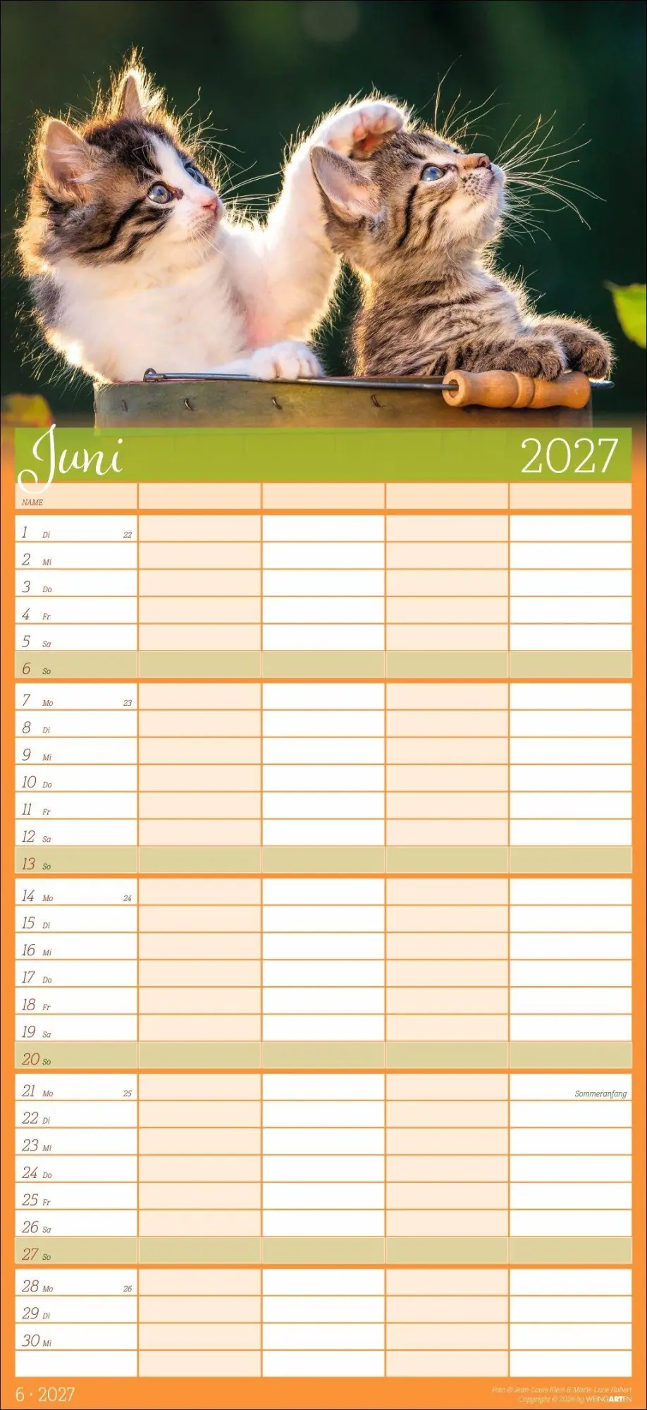 Bild: 9783839903711 | Cool Cats Familienplaner 2027 | Marie-Luce Hubert | Kalender | 15 S.