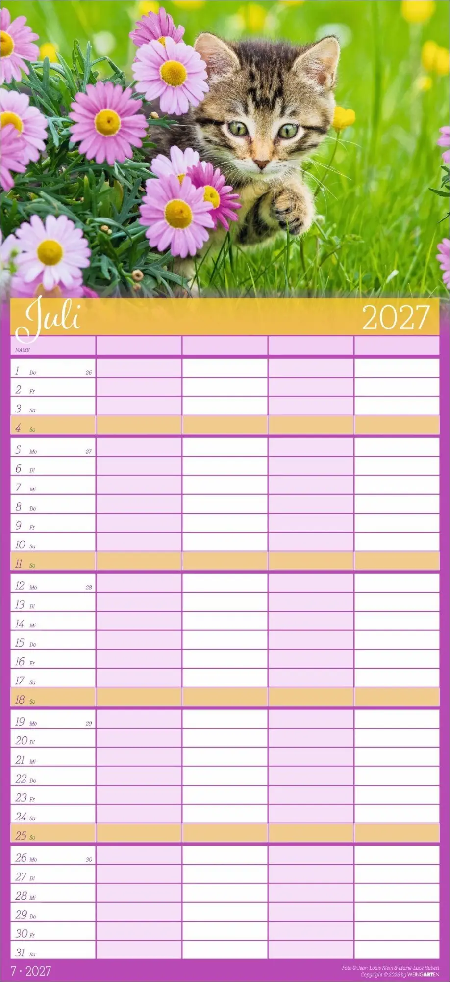 Bild: 9783839903711 | Cool Cats Familienplaner 2027 | Marie-Luce Hubert | Kalender | 15 S.