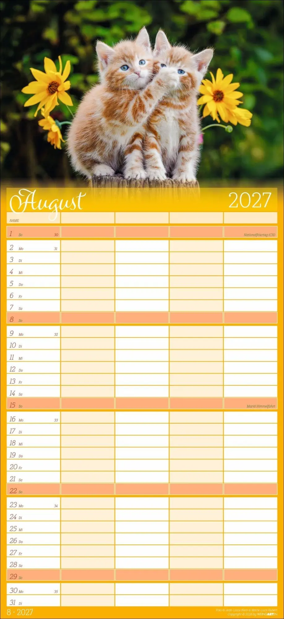 Bild: 9783839903711 | Cool Cats Familienplaner 2027 | Marie-Luce Hubert | Kalender | 15 S.