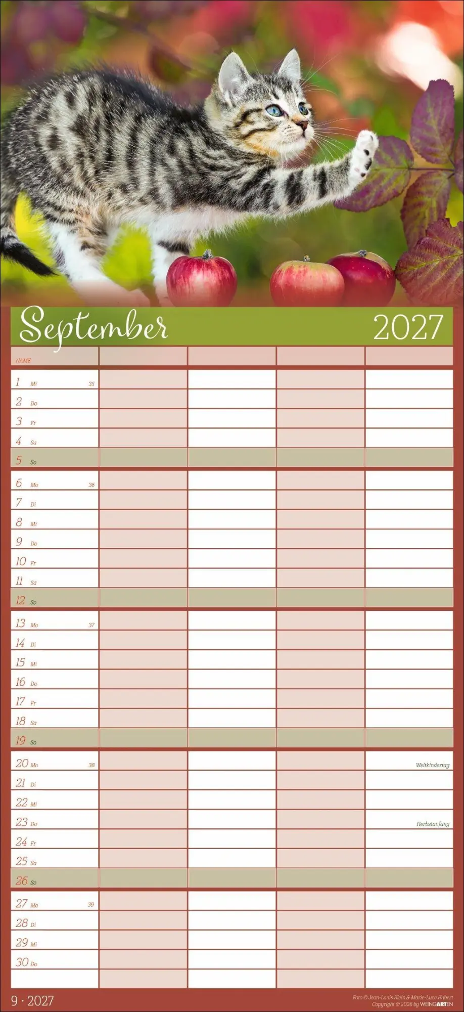 Bild: 9783839903711 | Cool Cats Familienplaner 2027 | Marie-Luce Hubert | Kalender | 15 S.