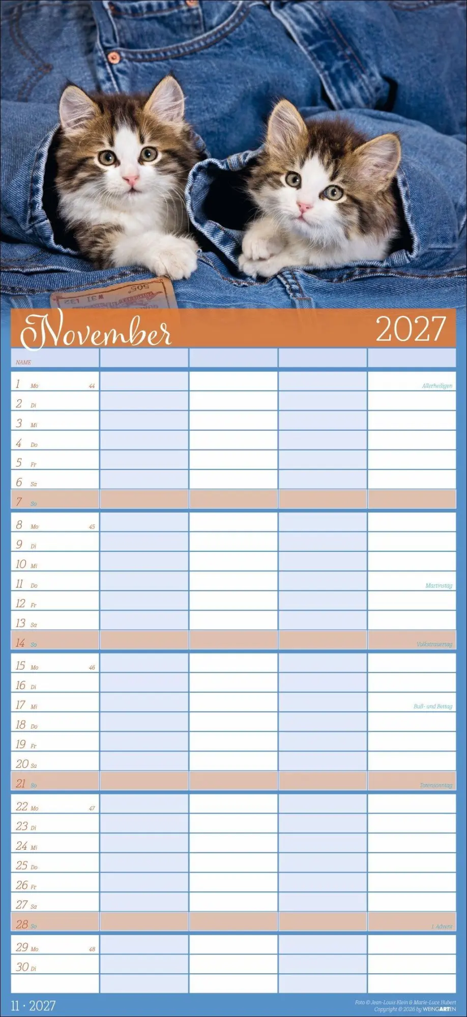 Bild: 9783839903711 | Cool Cats Familienplaner 2027 | Marie-Luce Hubert | Kalender | 15 S.