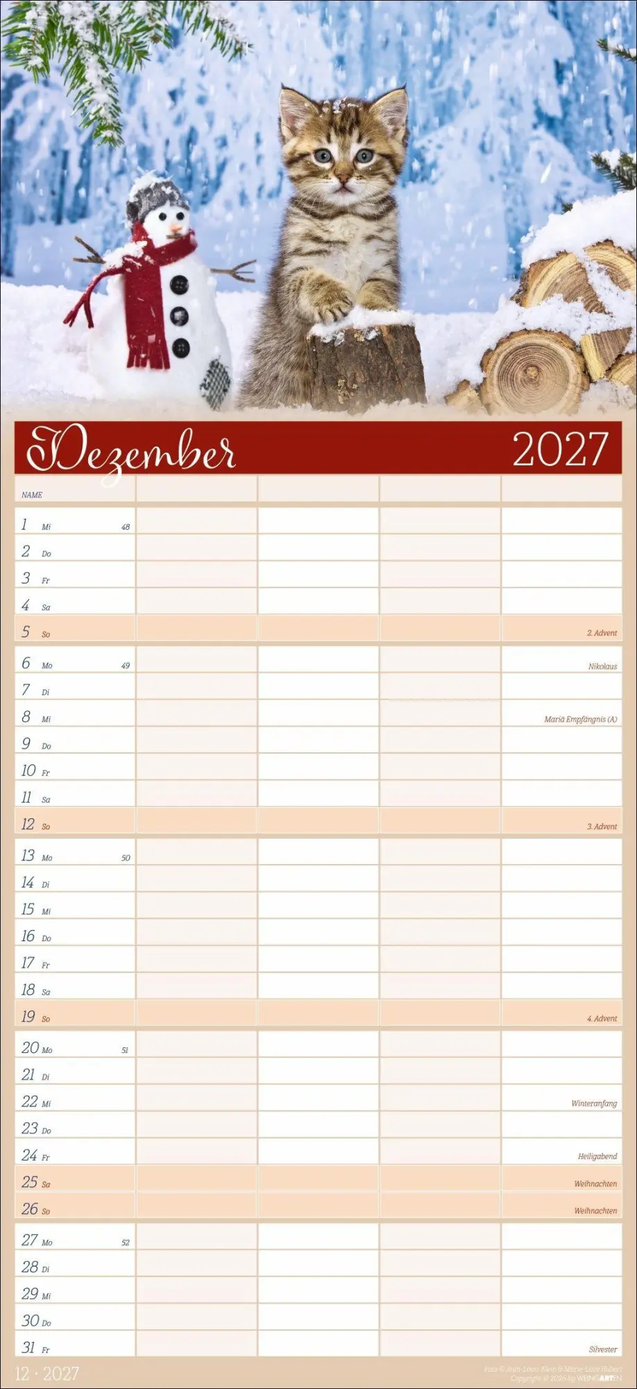 Bild: 9783839903711 | Cool Cats Familienplaner 2027 | Marie-Luce Hubert | Kalender | 15 S.
