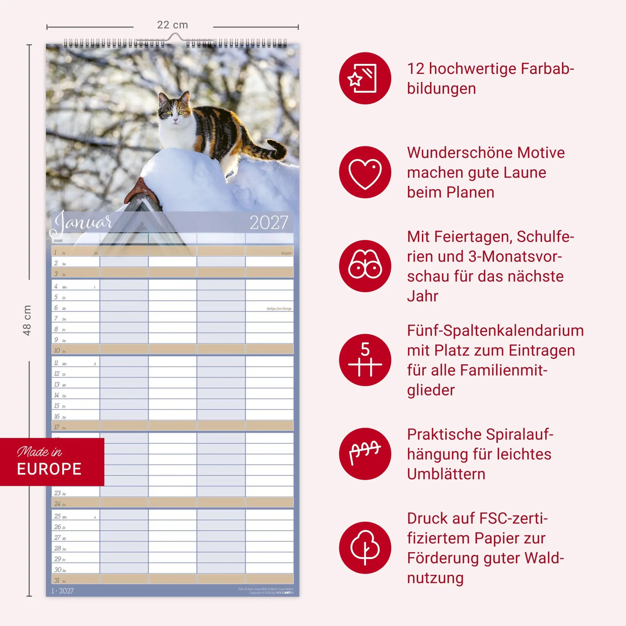 Bild: 9783839903711 | Cool Cats Familienplaner 2027 | Marie-Luce Hubert | Kalender | 15 S.