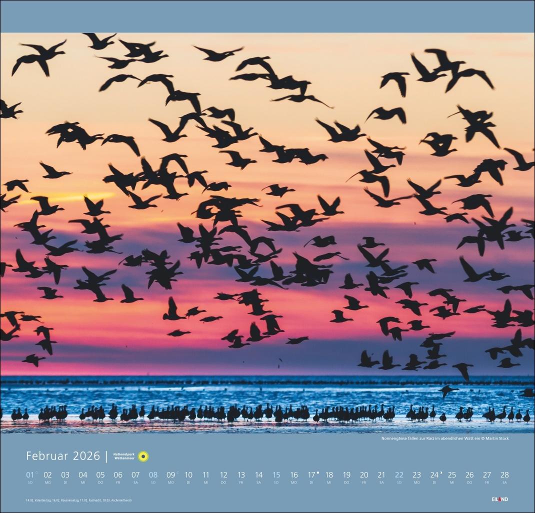 Bild: 9783964023711 | Nationalpark Wattenmeer Edition Kalender 2026 - Martin Stock | Stock