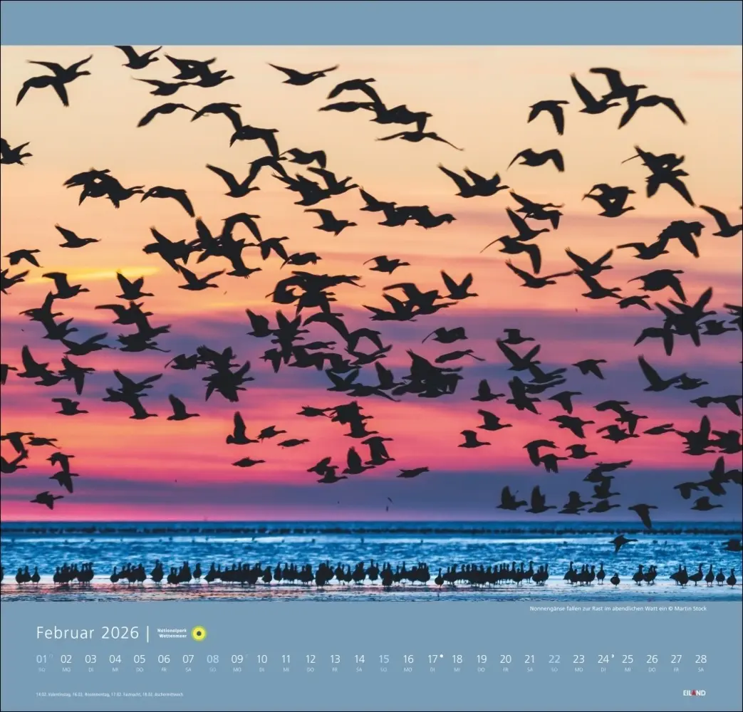 Bild: 9783964023711 | Nationalpark Wattenmeer Edition Kalender 2026 - Martin Stock | Stock