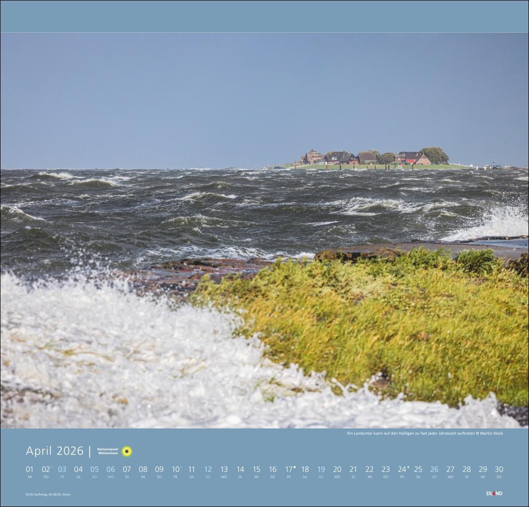 Bild: 9783964023711 | Nationalpark Wattenmeer Edition Kalender 2026 - Martin Stock | Stock