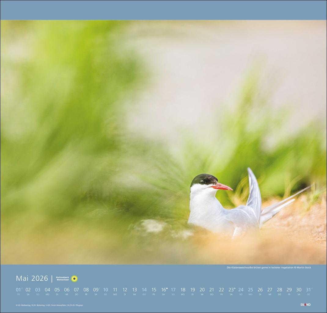 Bild: 9783964023711 | Nationalpark Wattenmeer Edition Kalender 2026 - Martin Stock | Stock