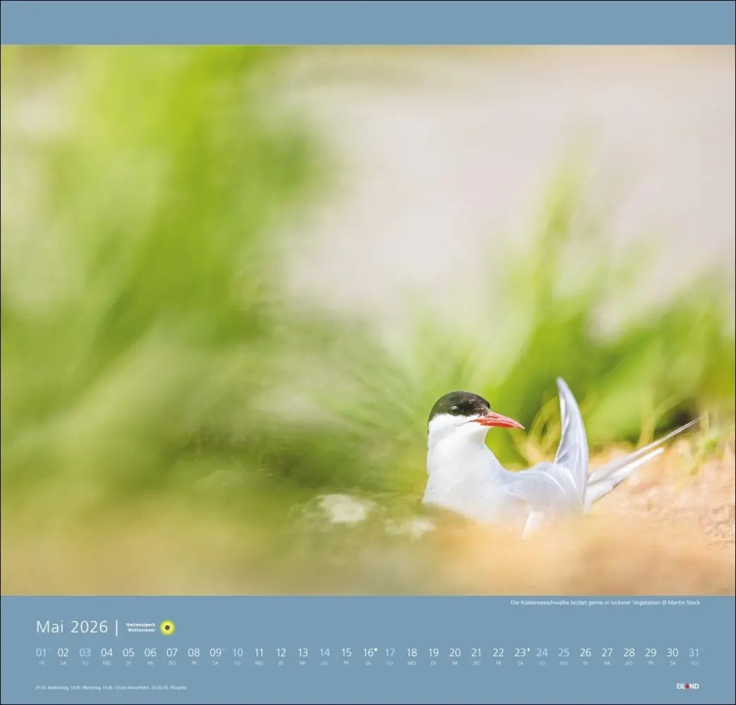 Bild: 9783964023711 | Nationalpark Wattenmeer Edition Kalender 2026 - Martin Stock | Stock