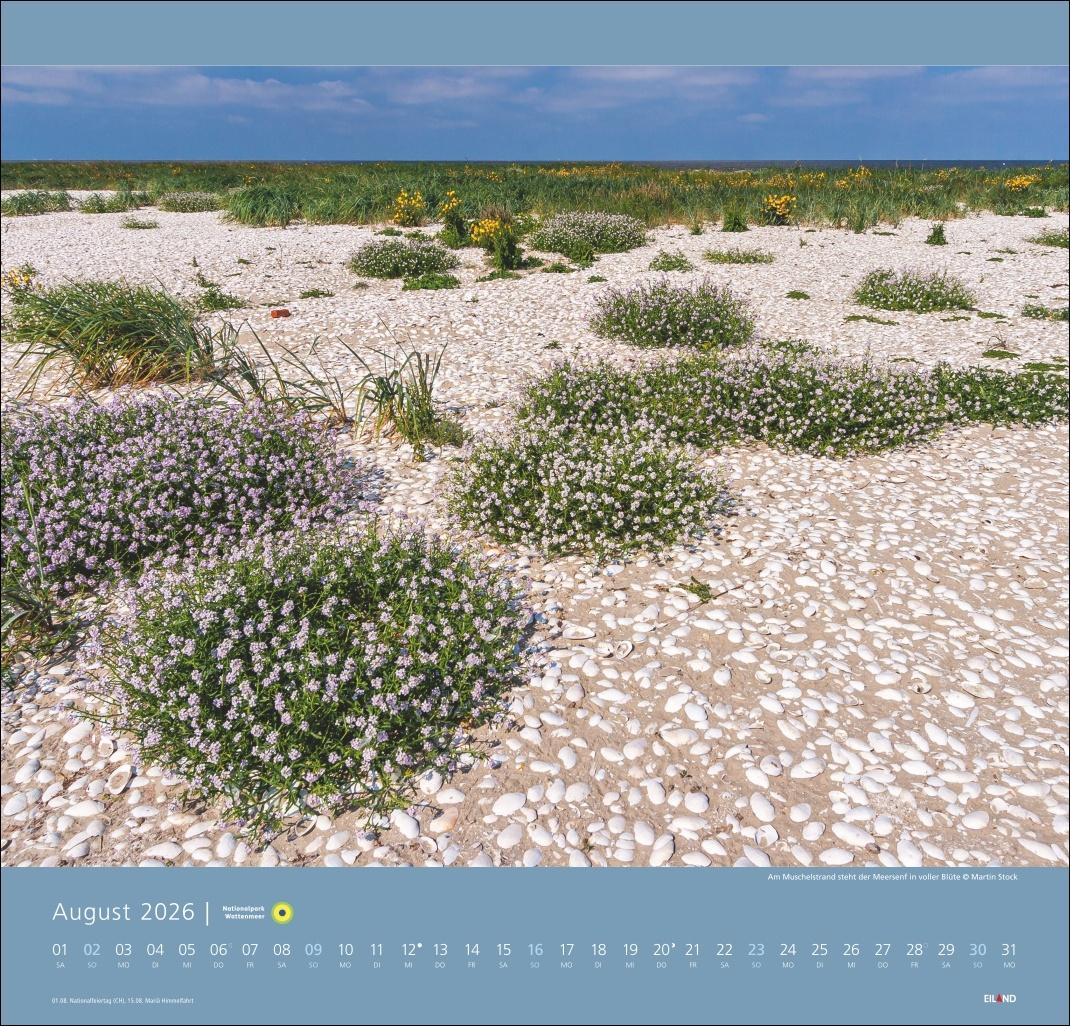 Bild: 9783964023711 | Nationalpark Wattenmeer Edition Kalender 2026 - Martin Stock | Stock