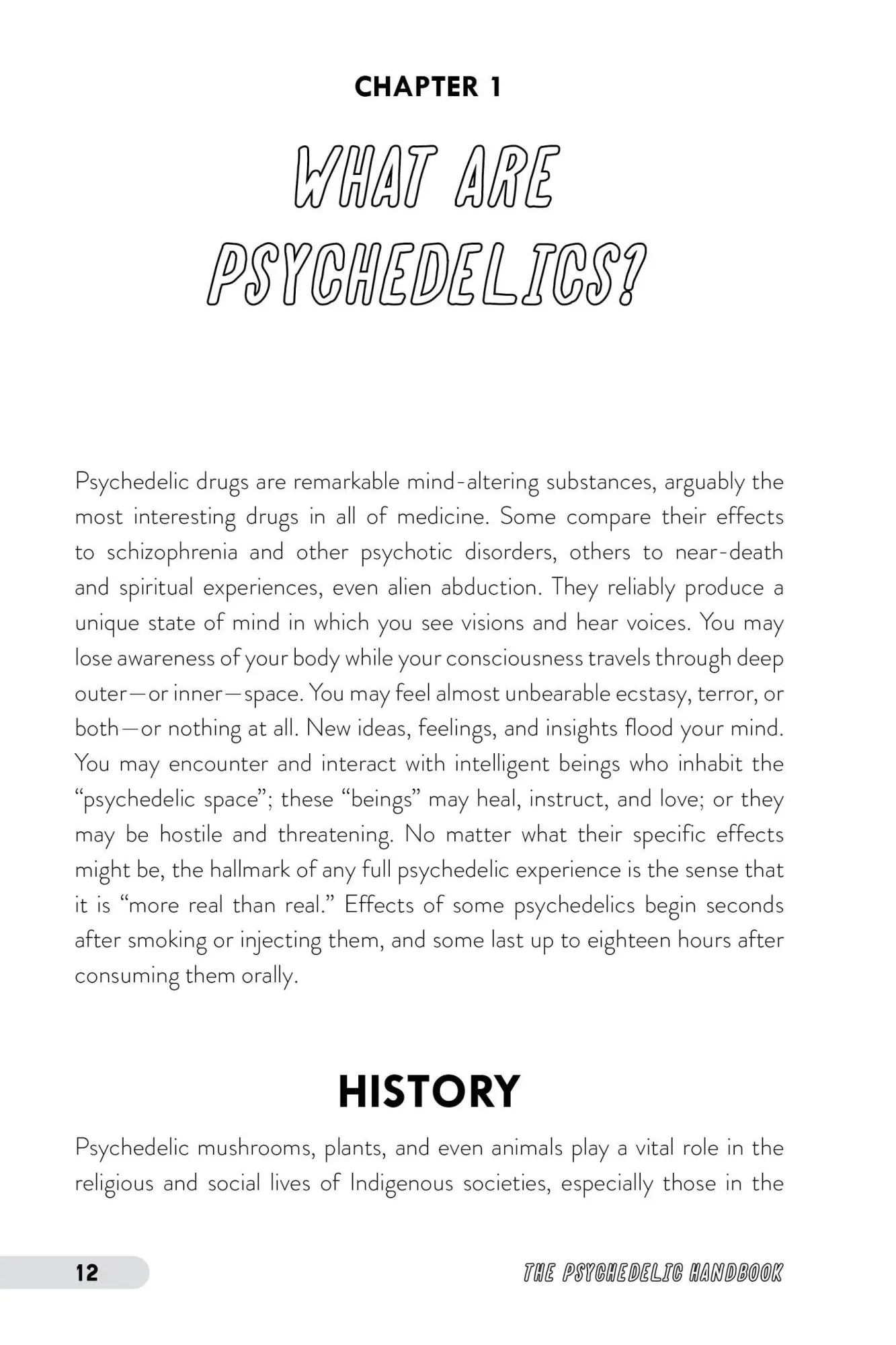 Bild: 9781646043811 | The Psychedelic Handbook | Rick Strassman | Taschenbuch | Englisch