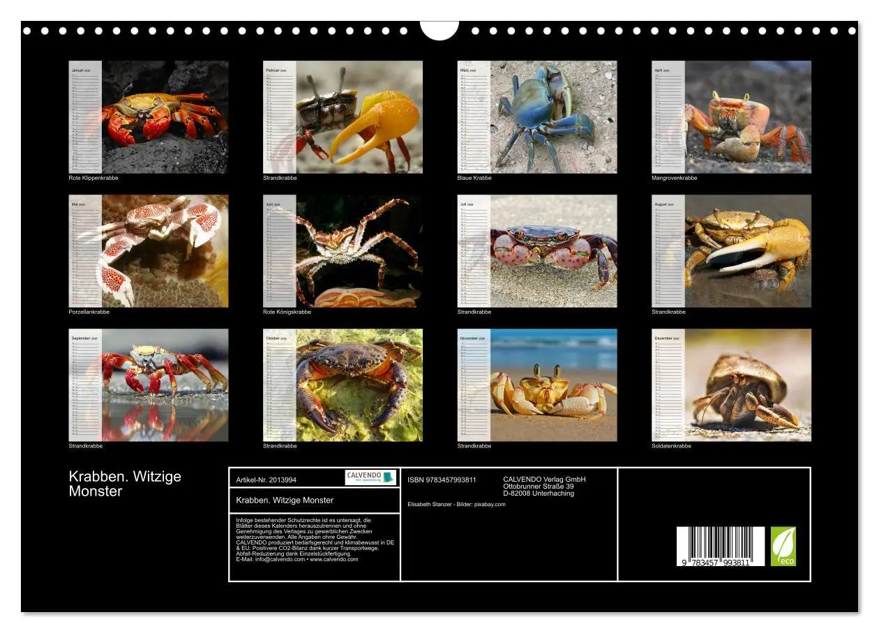 Bild: 9783457993811 | Krabben. Witzige Monster (Wandkalender 2026 DIN A3 quer), CALVENDO...