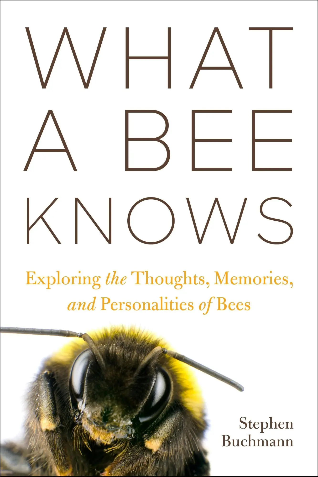 Cover: 9781642833911 | What a Bee Knows | Stephen L Buchmann | Taschenbuch | Englisch | 2024