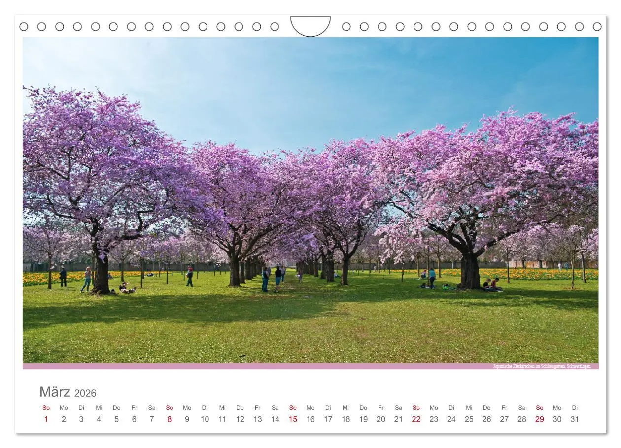 Bild: 9783516213911 | Der Neckar - Unterwegs in Deutschland (Wandkalender 2026 DIN A4...