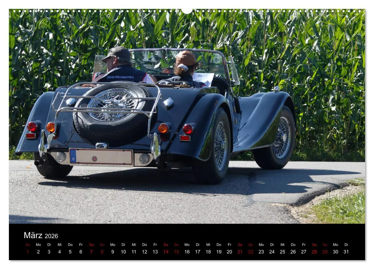 Bild: 9783457874011 | Faszination Morgan (Wandkalender 2026 DIN A2 quer), CALVENDO...