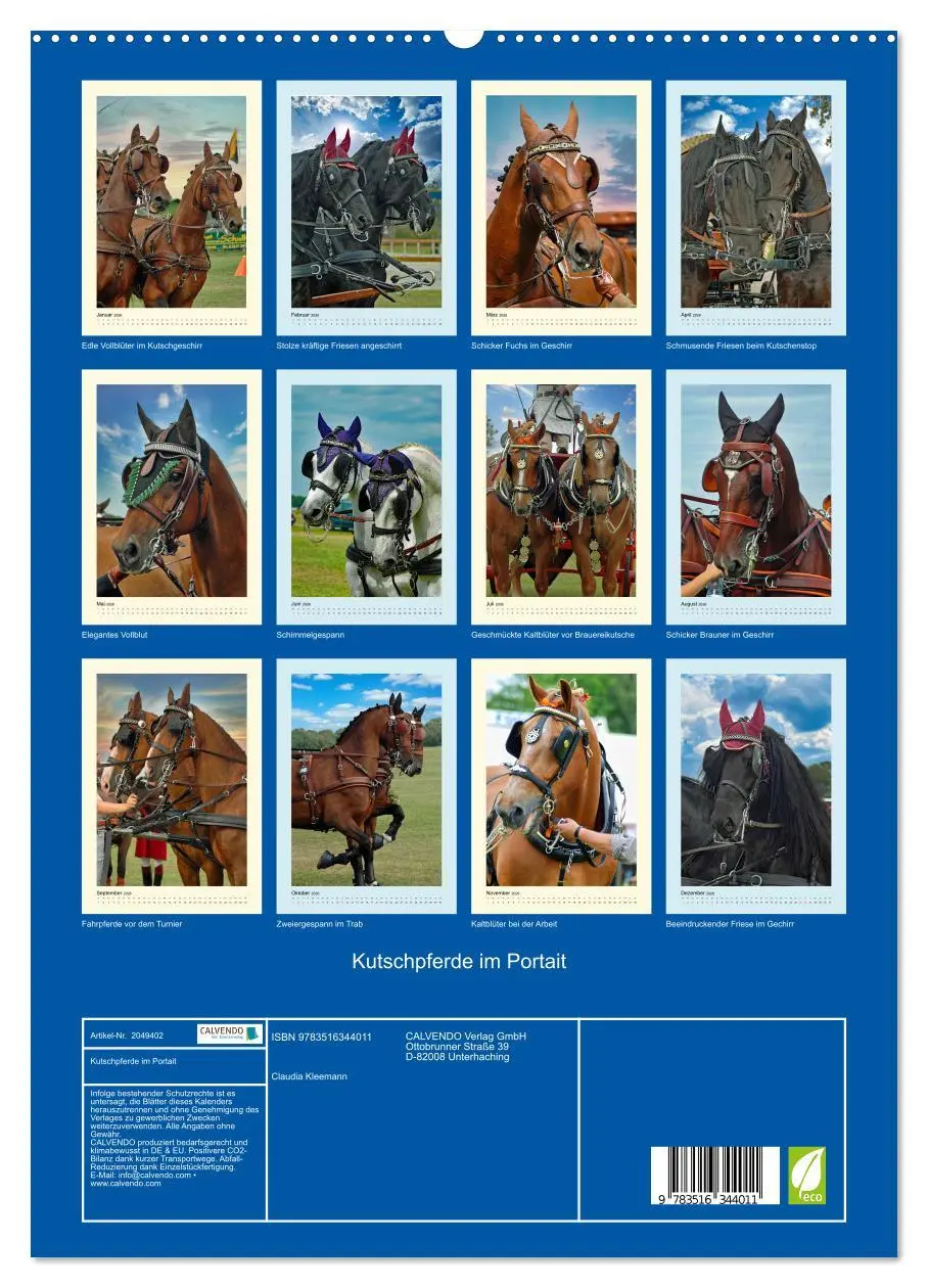 Bild: 9783516344011 | Kutschpferde im Portait (hochwertiger Premium Wandkalender 2026 DIN...