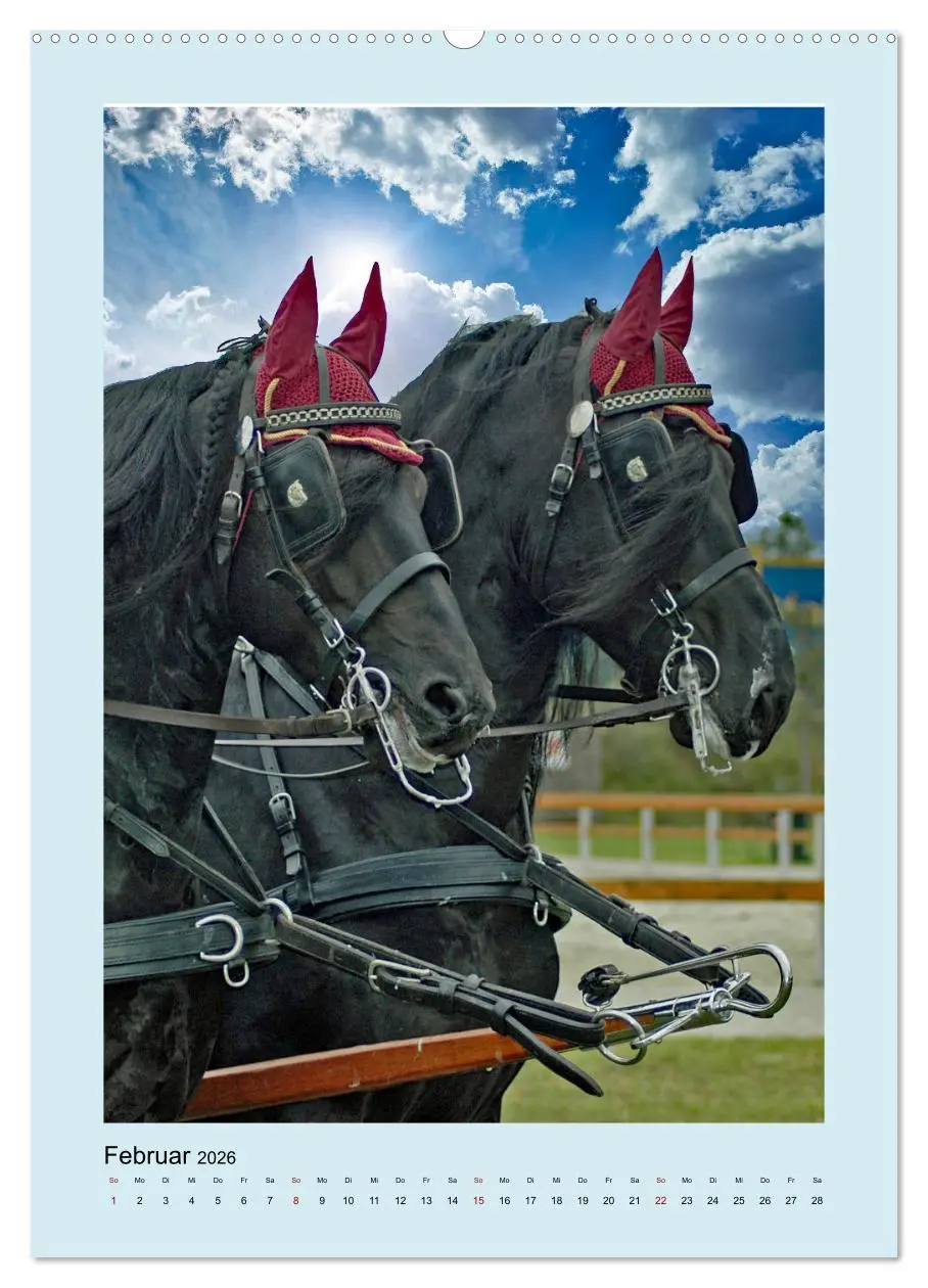 Bild: 9783516344011 | Kutschpferde im Portait (hochwertiger Premium Wandkalender 2026 DIN...