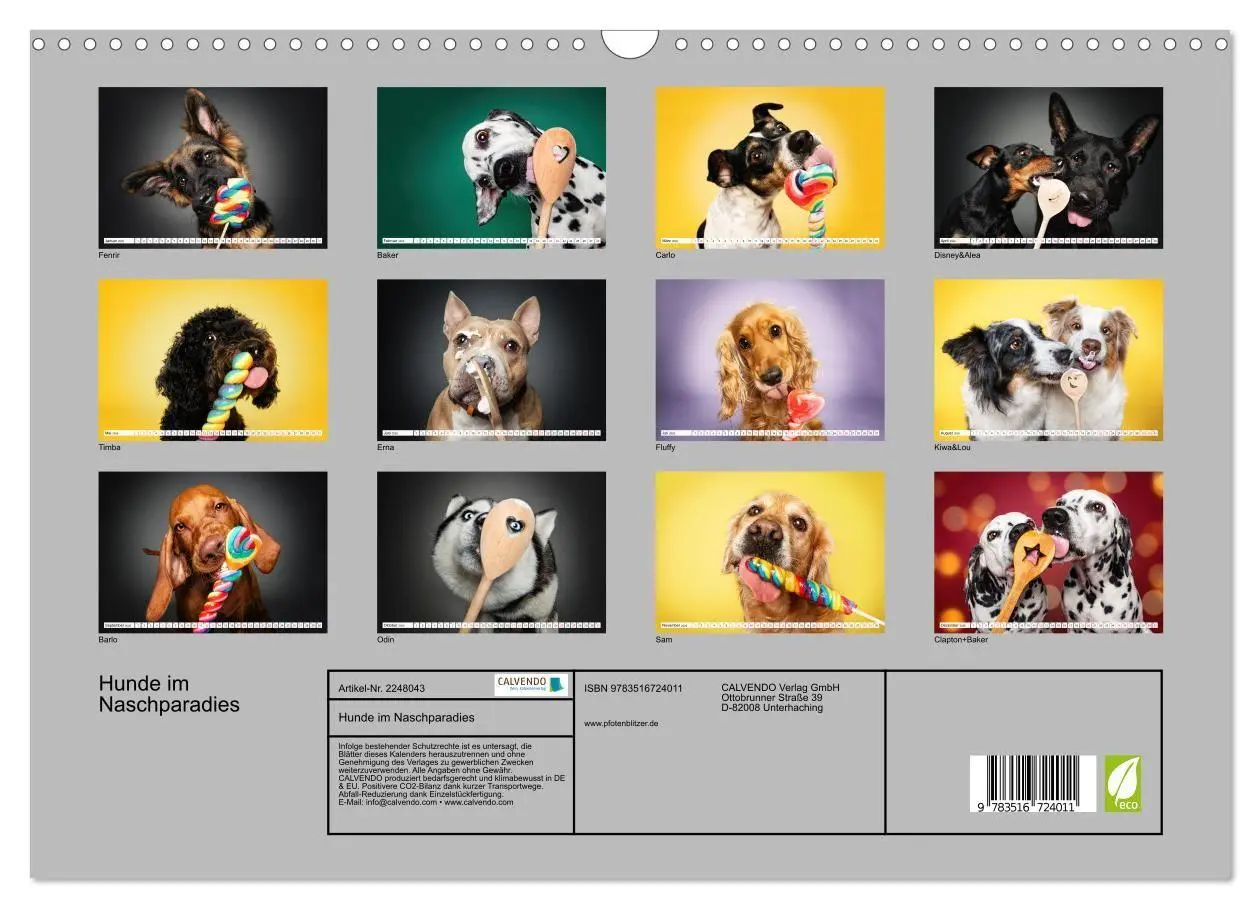 Bild: 9783516724011 | Hunde im Naschparadies (Wandkalender 2026 DIN A3 quer), CALVENDO...
